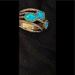 ring from Israel and earrings native american